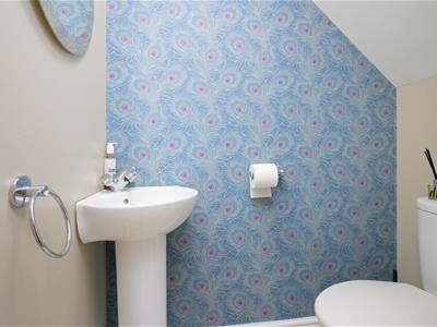 Picture 17